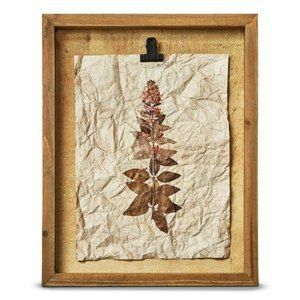 Herbarium Wildflower Shadow Box Wall Art- Yellow
